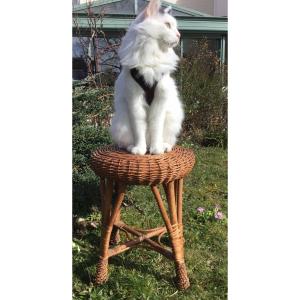 Woven Bamboo Stool, 1950s