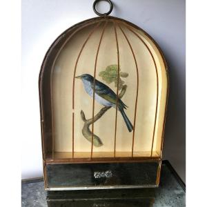 Trompe-l'oeil Bird Cage