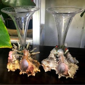 Pair Of Small Cone Vases Shells