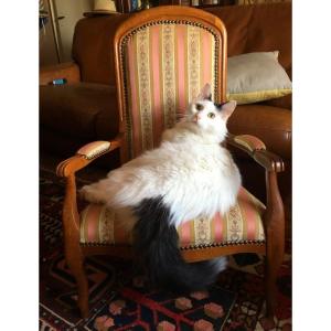 Miniature Voltaire Armchair