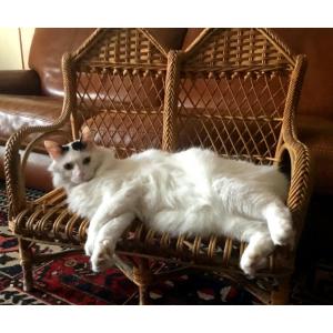 Miniature Rattan Two-seater Bench