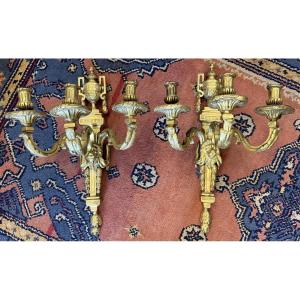 Important Pair Of Louis XVI Style Gilt Bronze Wall Sconces, Late 19th Century, 53 Cm