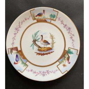 White Porcelain Dish. Hand Painted Decor Birds And Plants. Naples Late 19th Century.