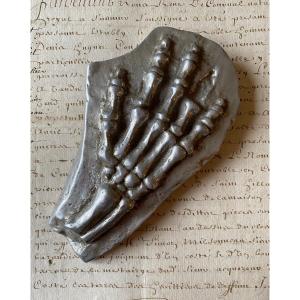 Aram. Skeleton Of A Hand. Cast Aluminum Paperweight. 20th Century. Curiosity.