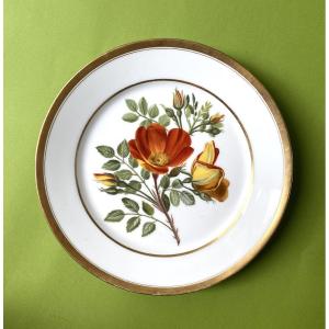 Paris Porcelain Plate. Early 19th Century. Hand-painted Floral Decoration. Eglantine. 