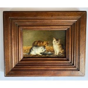 Kittens And Hoof. Framed Oil On Panel. French School Late XIXth. 