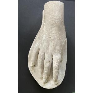 XIXth Century Studio Plaster. Study Of A Woman's Hand.