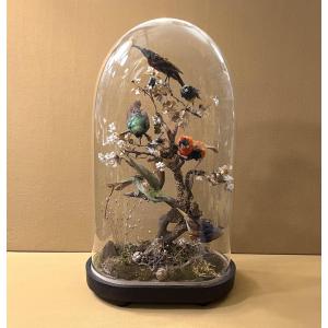 Cabinet Of Curiosities - Composition Of Taxidermied Birds Under A Glass Dome, 19th Century