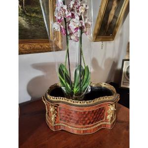 Louis 16 Style Planter In Marquetry From The Napoleon III Period