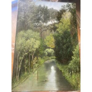 Oil On Canvas, Stream In The Undergrowth, Signed Ducrocq 1874