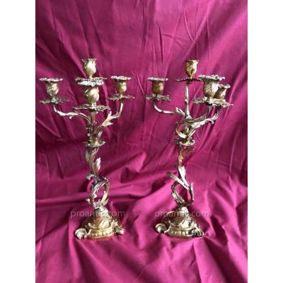Pair Candelabra Chandelier Louis XV Bronze