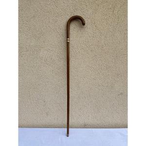 Baton System Cane