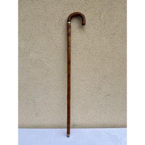 Horse-dealer's System Cane