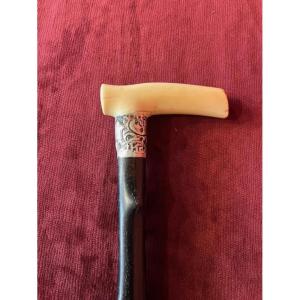 Antique Cane With Ivory Knob