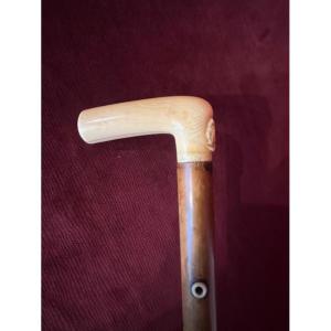 Ivory Knob Cane