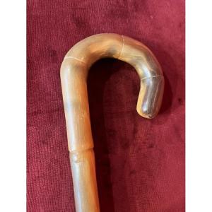 Ram's Horn Cane 