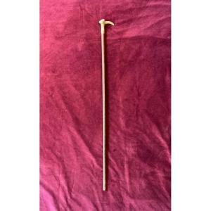 Woman's Cane With Deer Antler Knob