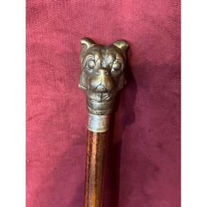 Puzzle Cane