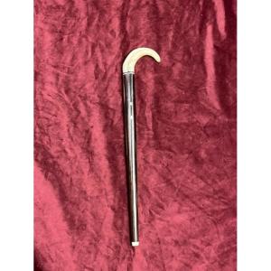 Walking Stick For Small Adults