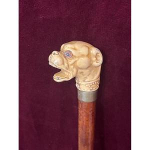 Dog-head Cane