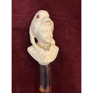 Parrot Woman's Walking Stick 