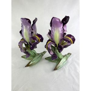 Spectacular Pair Of Irises By Delphine Massier