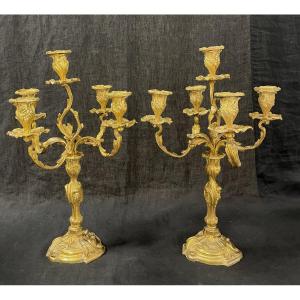 Pair Of Rocaille Bronze Candelabras