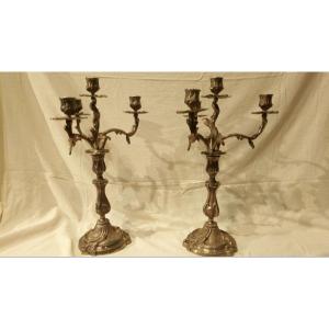 Pair Of Louis XV Silvered Bronze Candelabra, 19th Time.