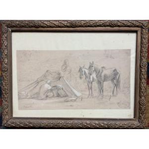 Armand Point Collection