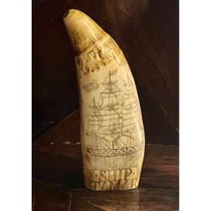 Scrimshaw In Sperm Whale Ivory. Nineteenth Century.