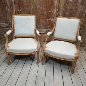Pair Of Queen-style Armchairs