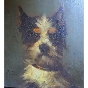 - Dog's Head - Hsp - Fernand Cormon - Paris 1845 / 1925 -