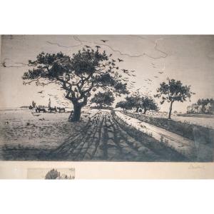  - Engraving - Large Etching By Georges Le Meilleur - Plowing From 1910 -