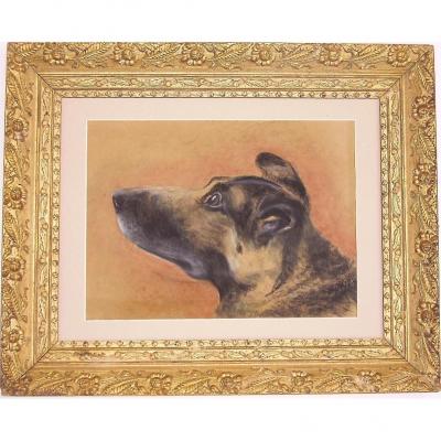 - Pastel Old Framed Dog Profile View - Racy Puppy -