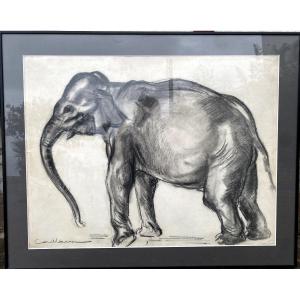 Rodolphe Caillaux Elephant Drawing Painter Basque Country St Jean De Luz Fauvism Animal
