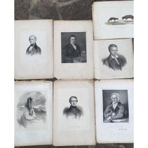 7 Engravings Journey To Iceland And Greenland P.gaimard E.robert 1851 Finn Magnussen