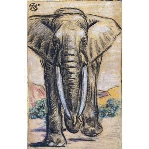 Pablo Tillac (1860-1969), Painter From The Basque Country (cambo), African Elephant, Charcoal And Pastel Drawings