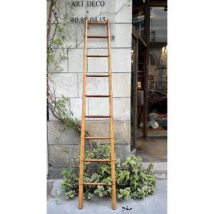 Ash Library Ladder.