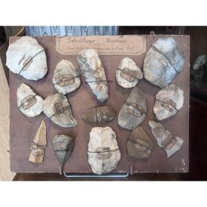 Points And Splinters . Palaeolithic ( Mousterian )