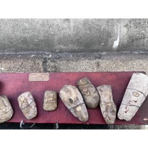 Neolithic Robenhausen . Axe Fragments.