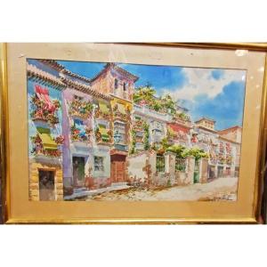 Watercolor Marine Enrique