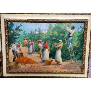 Painting Of The Orange Harvest