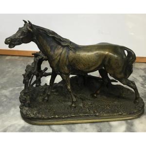 Bronze Horse Pj Mene