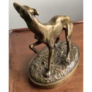 The Bronze Greyhound