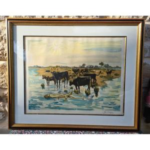 Lithograph "bulls In Camargue" Yves Brayer 1974