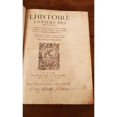Ancient Book "whole History Of Fish By Guillaume Rondelet 1556