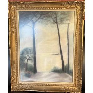 The Arcachon Basin, Fusain