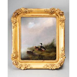 Oil On Cardboard Depicting A Mallard And Ducks, 19th Century