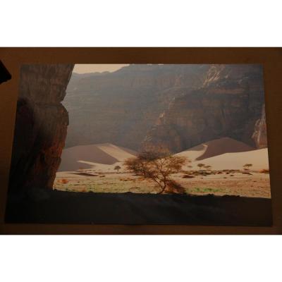 A Photography Signed François-guy Mercier, Period Twentieth Century