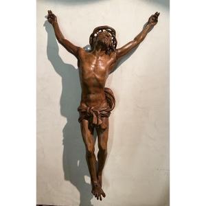Christ From The 18th Century In Walnut